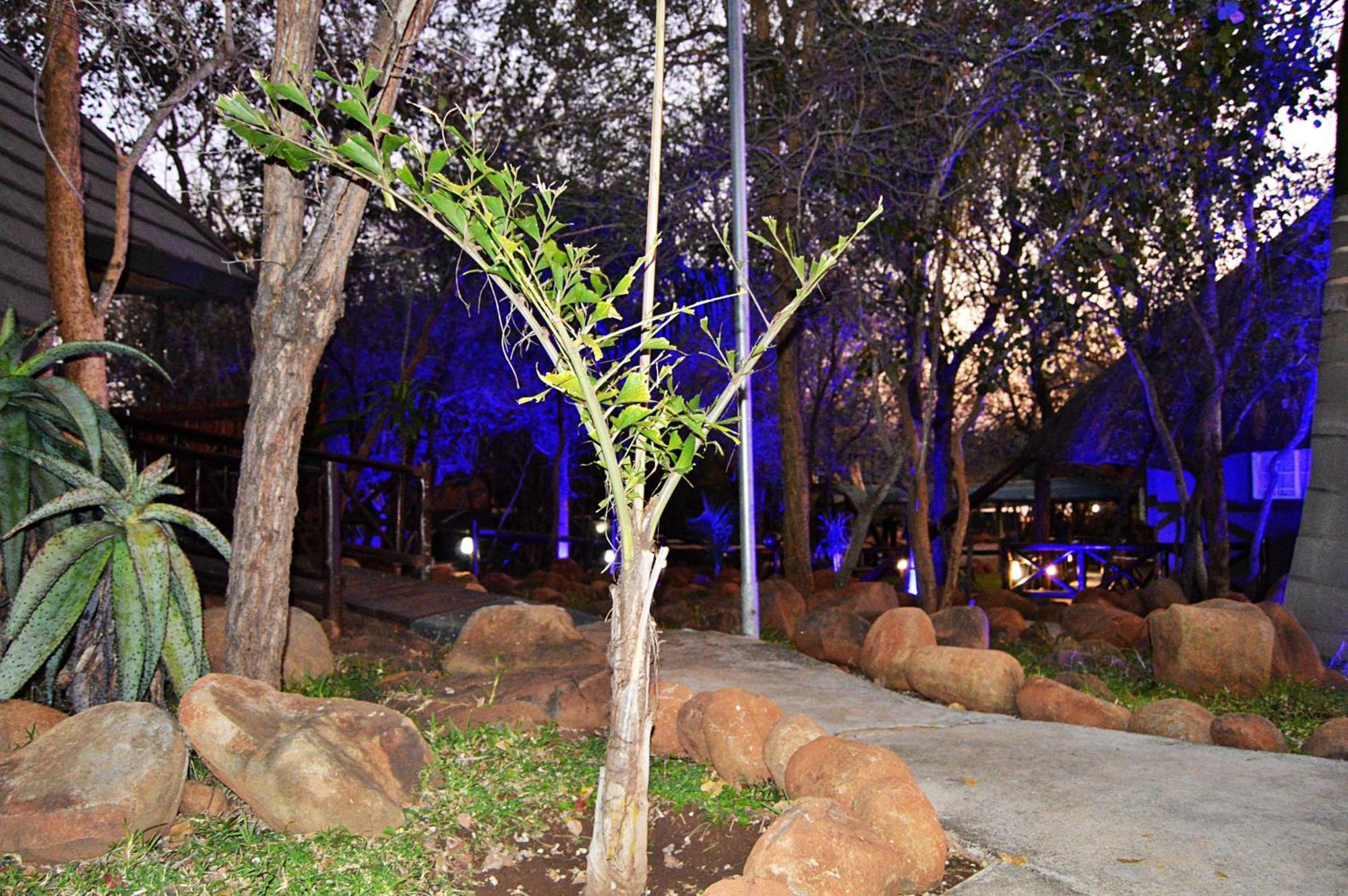Royal Marlothi Kruger Safari Lodge And Spa Marloth Park Exterior foto